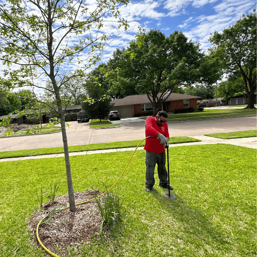 Tree Aeration Dallas