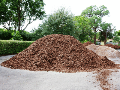 How to Properly Mulch Trees: Tips for Healthy Growth