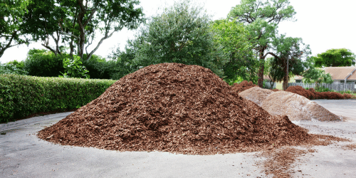 How to Properly Mulch Trees: Tips for Healthy Growth