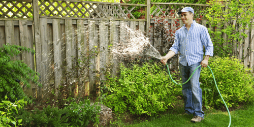Prepare Your Trees for Texas Summers: Watering and Care Tips