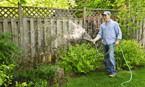 Prepare Your Trees for Texas Summers: Watering and Care Tips