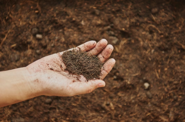 Soil Conditioning