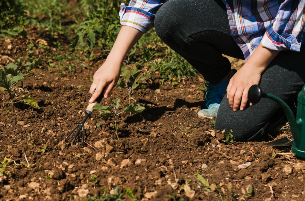 Premier Soil Conditioning in Dallas, TX