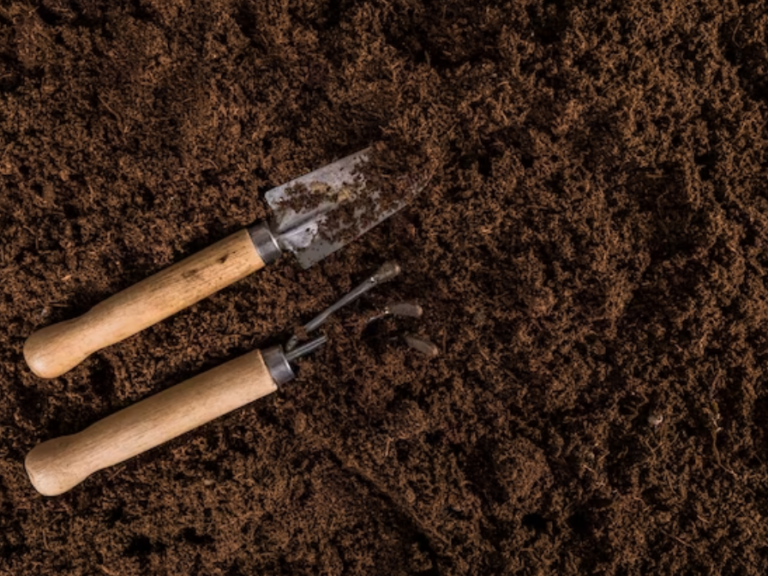Soil Conditioning and Testing Services