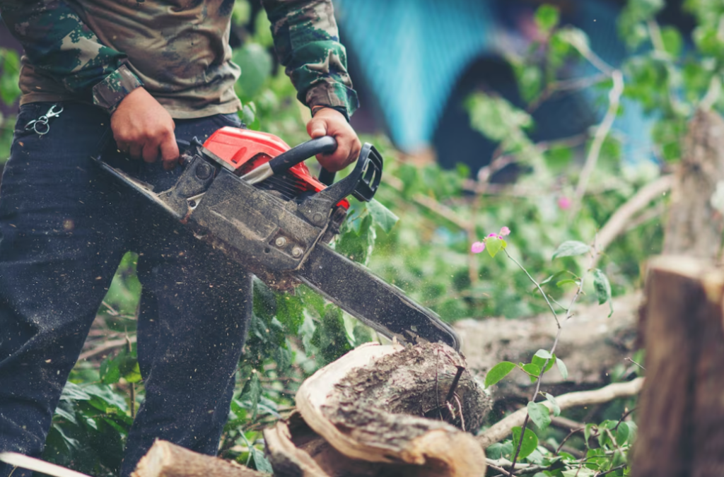 Tree Trimming Services