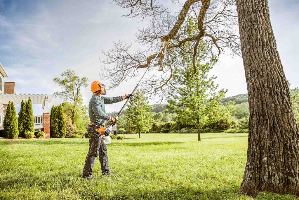 Tree services