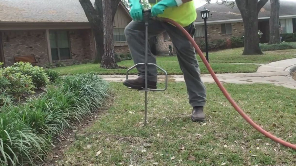 Tree Fertilization Dallas