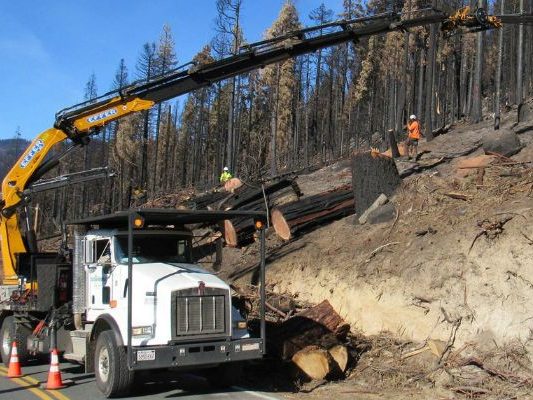 Grapple Saw Trucks Clearing Fire Hazards