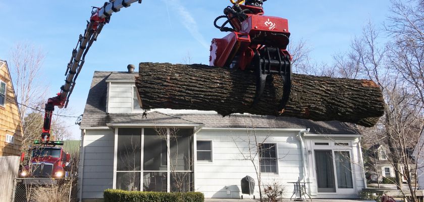 Grapple Saw Trucks Enhance Rural Connectivity