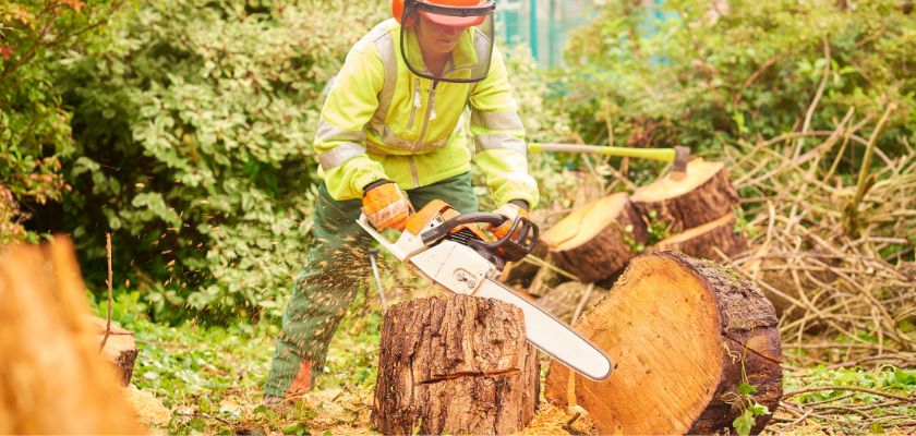 Innovative Tools for Efficient Stump Removal