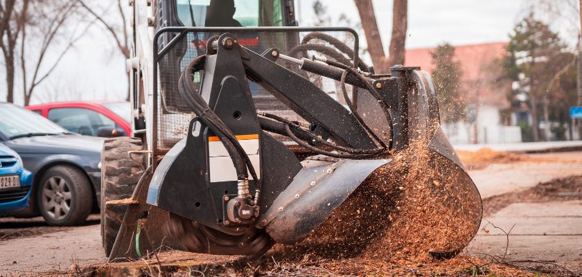 Professional Stump Removal