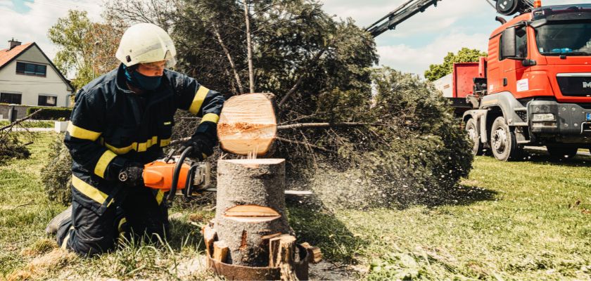 Stump Removal Safety