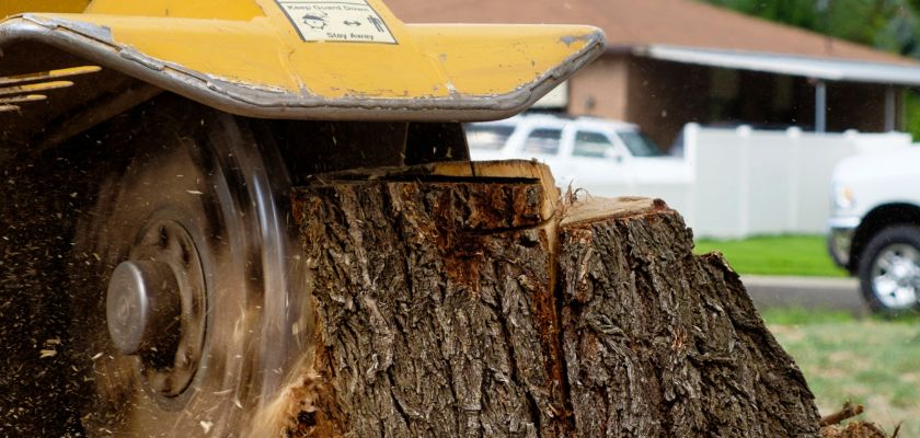 Stump Removal