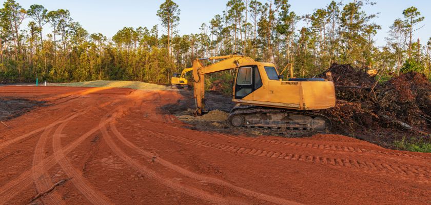 Tree Removal for Land Development: Planning and Execution.