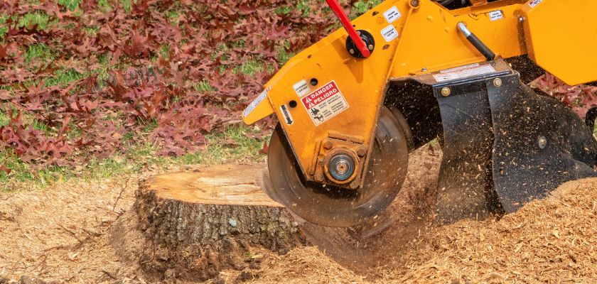 Stump Removal and Grinding