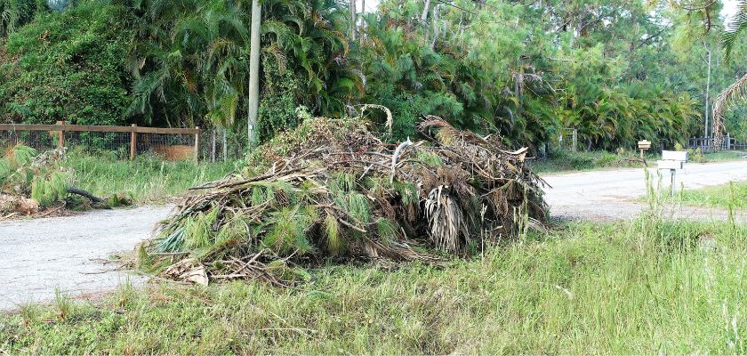 Tree Mess Top Tips for Quick and Easy Debris Removal