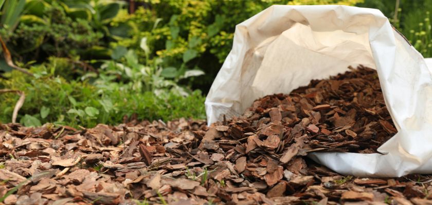 Benefits of Mulching