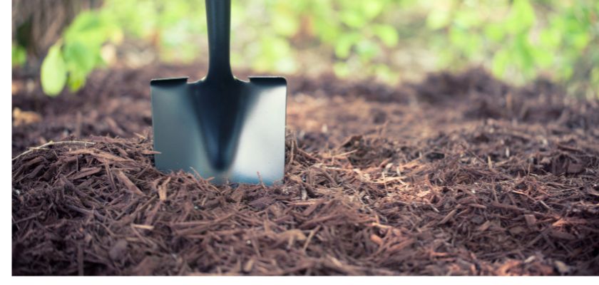 Proper Mulching Techniques