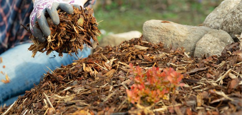 Types of Mulch