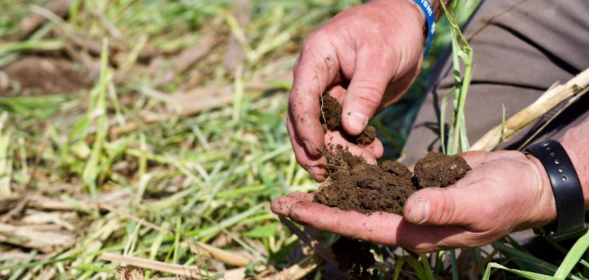 Understanding Soil Health