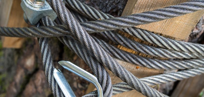 Understanding Tree Cabling and Bracing (1)