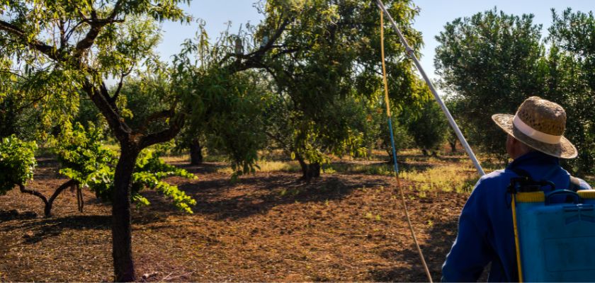 Importance of Tree Surveys Before Buying or Selling Property