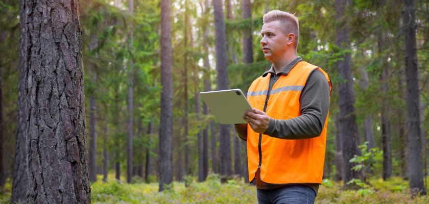 Importance of Tree Surveys in Disease and Pest Management