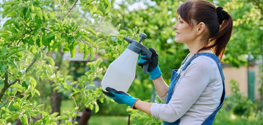 Managing Tree Diseases and Pests