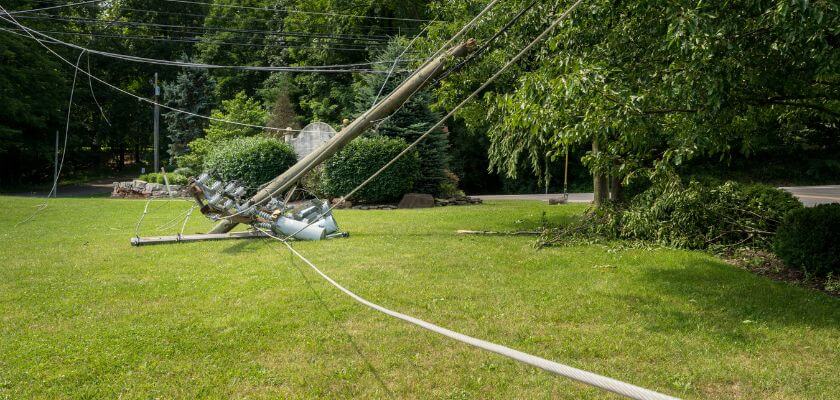 Tree Growth Near Power Lines