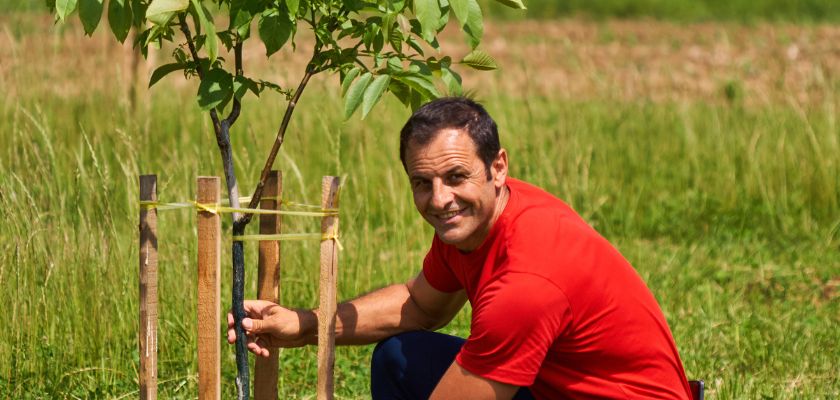 Tree Health and Structure