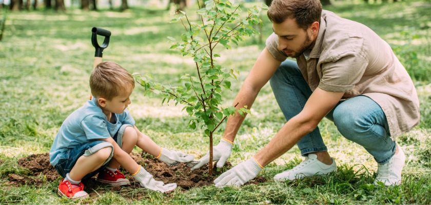 Tree Planting Mistakes