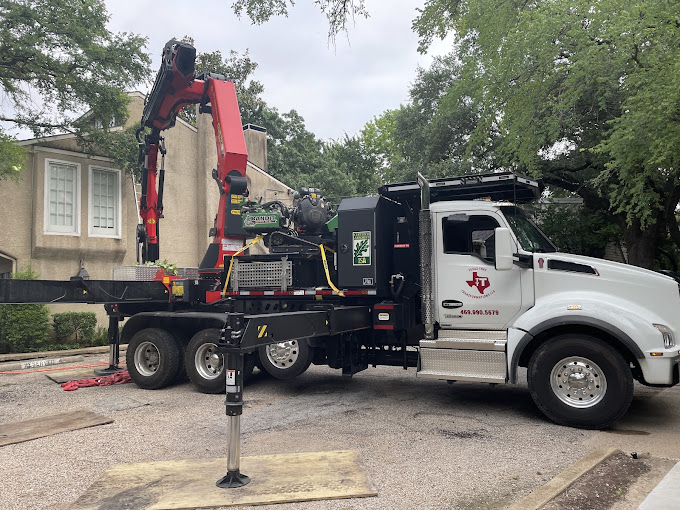 Tree Removal