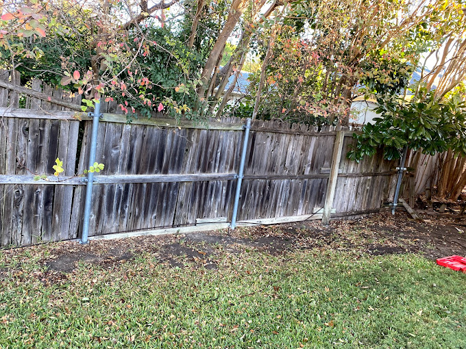 Tree Removal