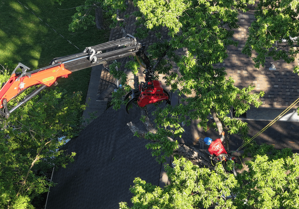 DJI_20250421085401_0016_D